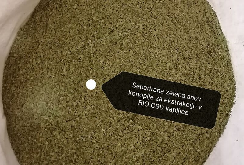 zelena snov CBD kapljice 2023