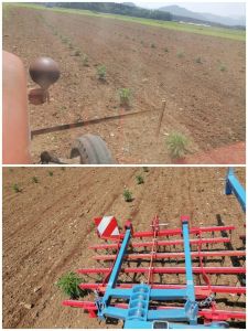 mehansko zatiranje plevela