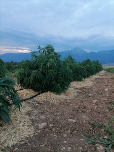 dve cevi namakalni sistem