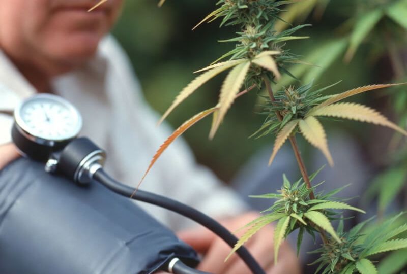 merjenje krvnega tlaka moški konoplja